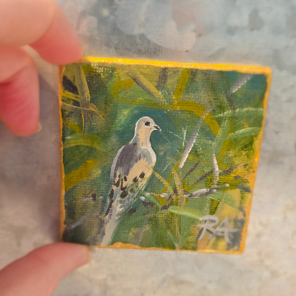 Morning Dove.  2.5x2.5 in Tiny Hand-painted Magnet.